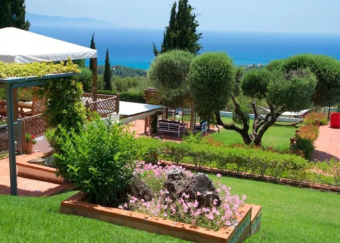 Felix * Мусата