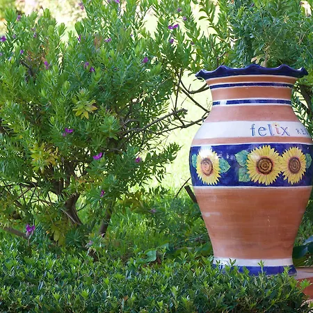 Appartamento Felix *