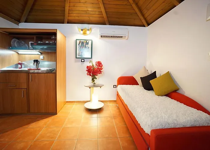Felix Apartament *