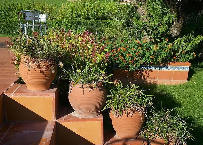 Apartament Felix